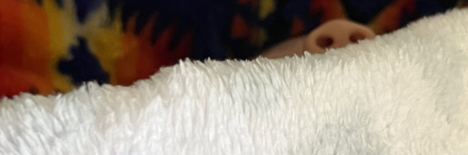 froggydaya's profile banner image