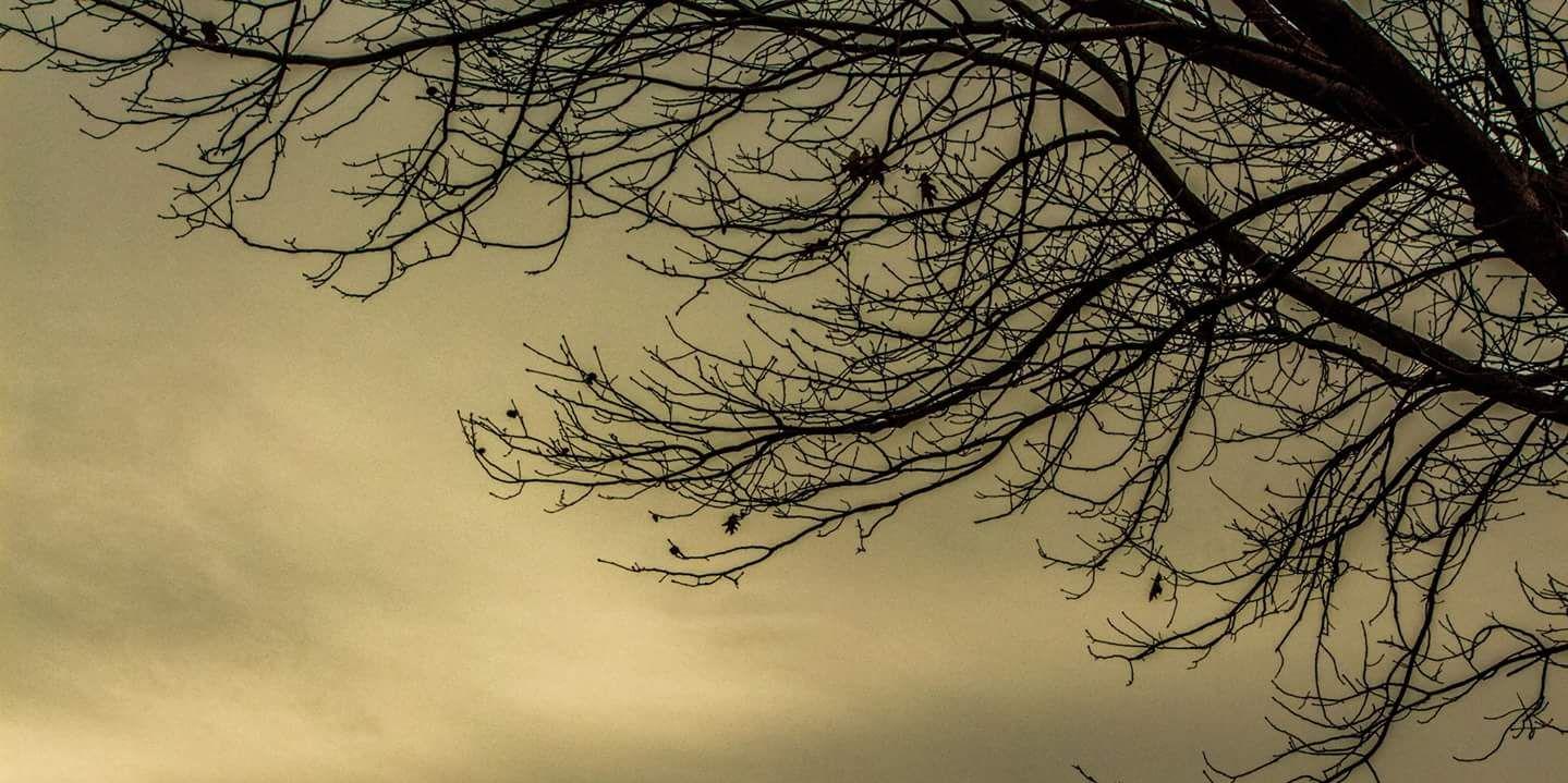 SandyBones's profile banner image