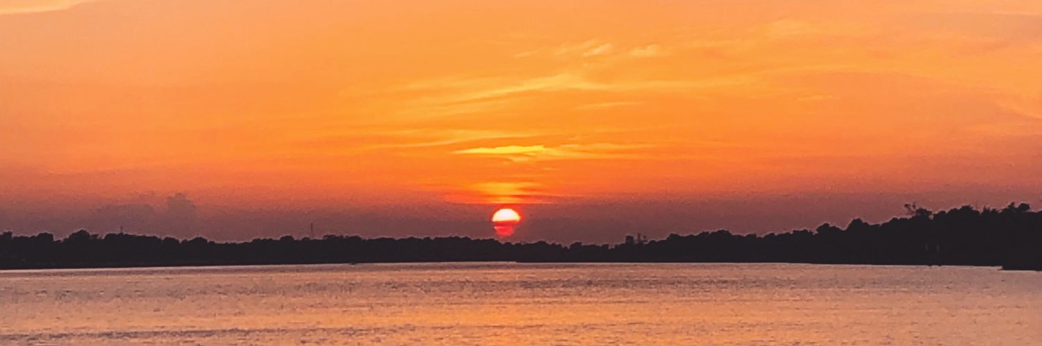 DelanieTurano's profile banner image