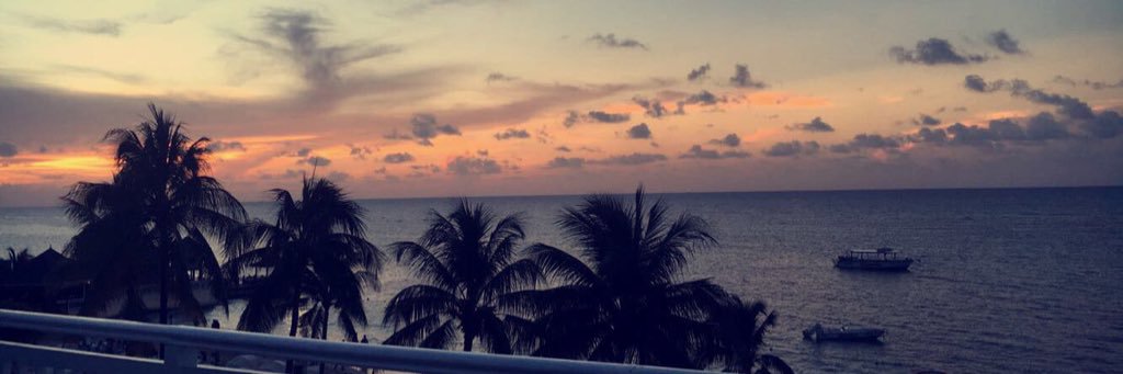 abornstein22's profile banner image