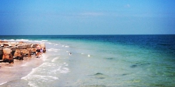 AIphaAmbassador's profile banner image