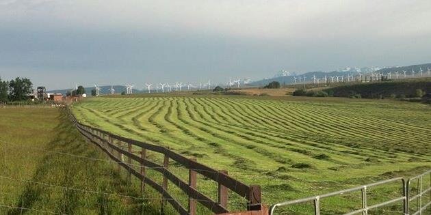 windynranch's profile banner image