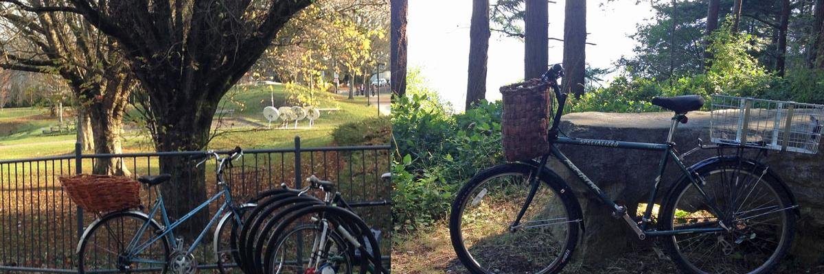 CarrieSaxifrage's profile banner image