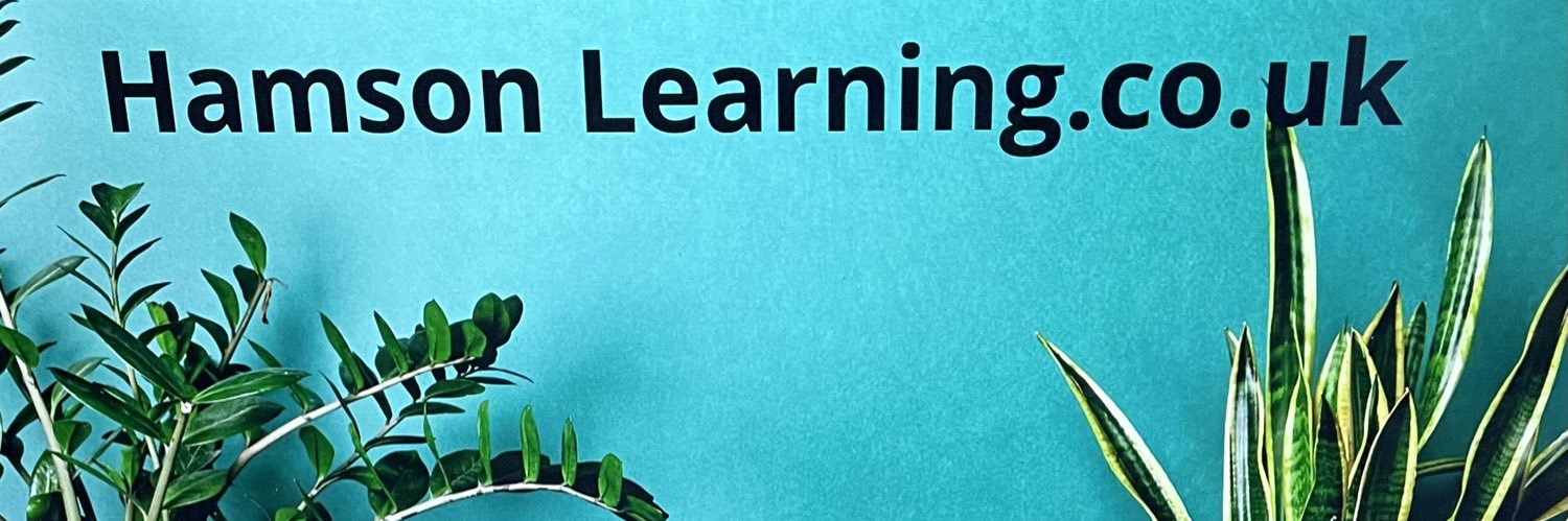 SallyHamson's profile banner image
