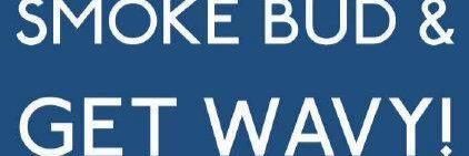 Jade Fox xx banner