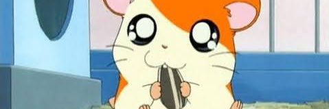 koinu18's profile banner image