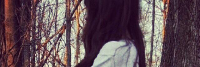 salma1413's profile banner image