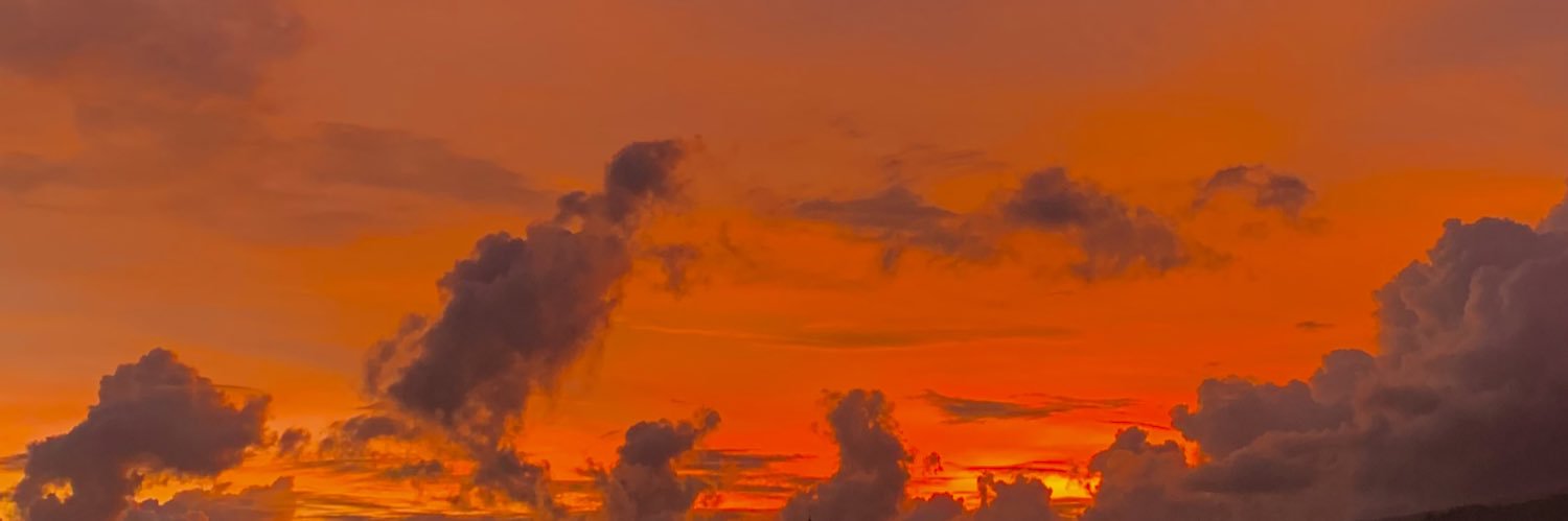 regalmiIk's profile banner image