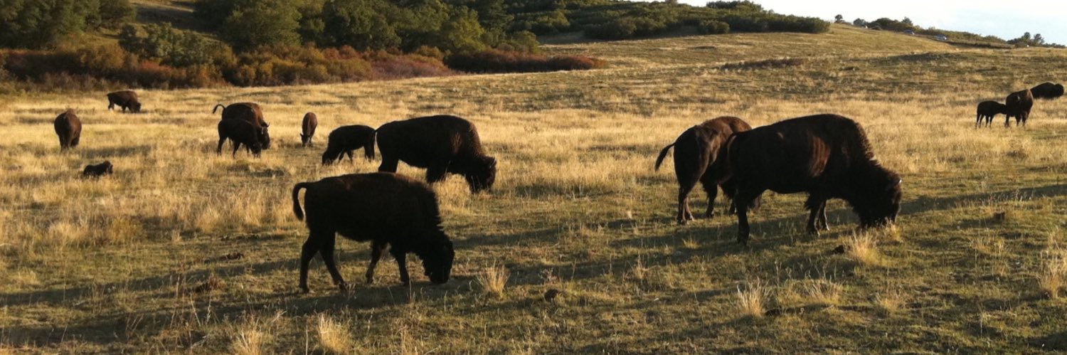 pete broderick banner