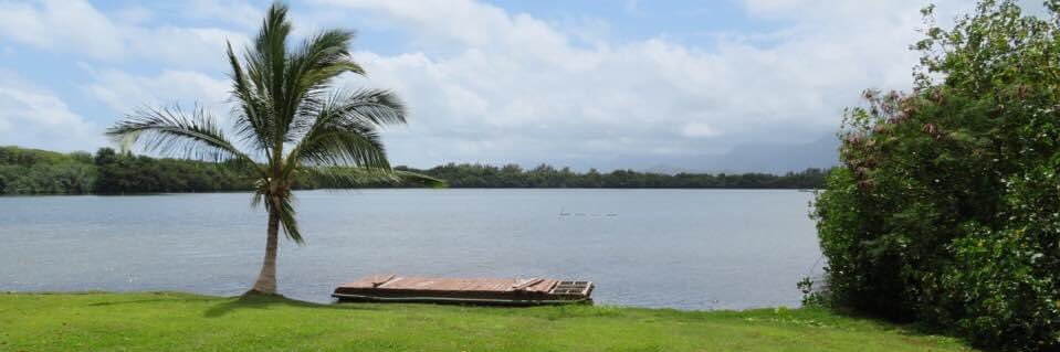 Elizabeth Mitchell banner