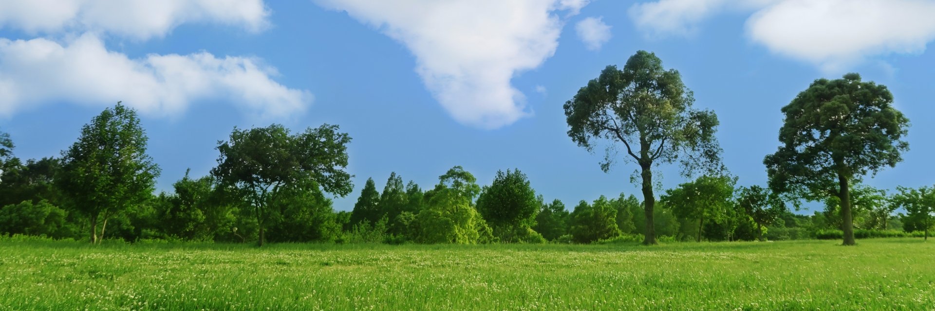 abund22's profile banner image