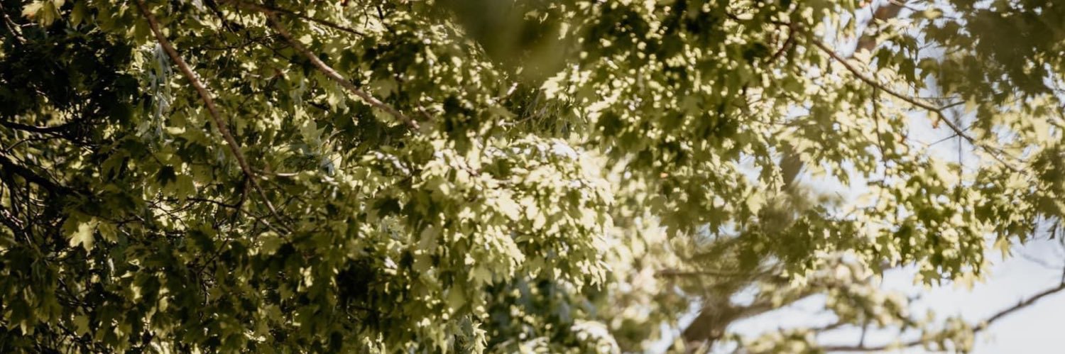 lerchypoo's profile banner image