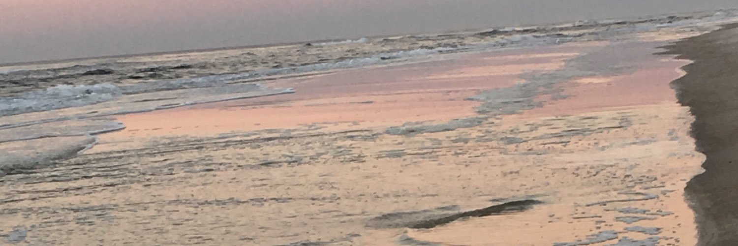kaseykayfowler's profile banner image