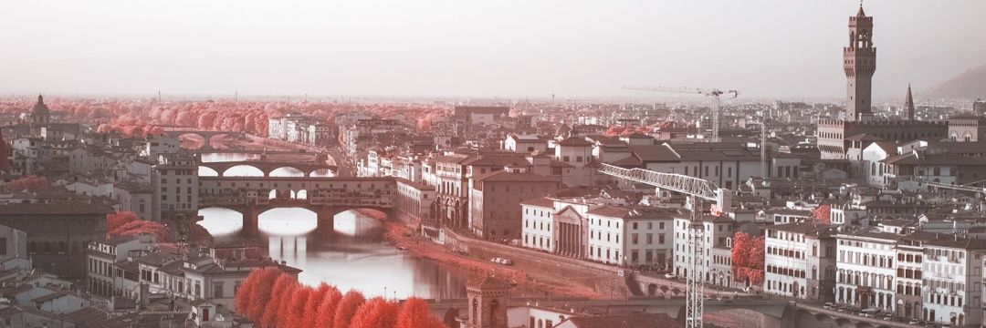 _charmpot's profile banner image