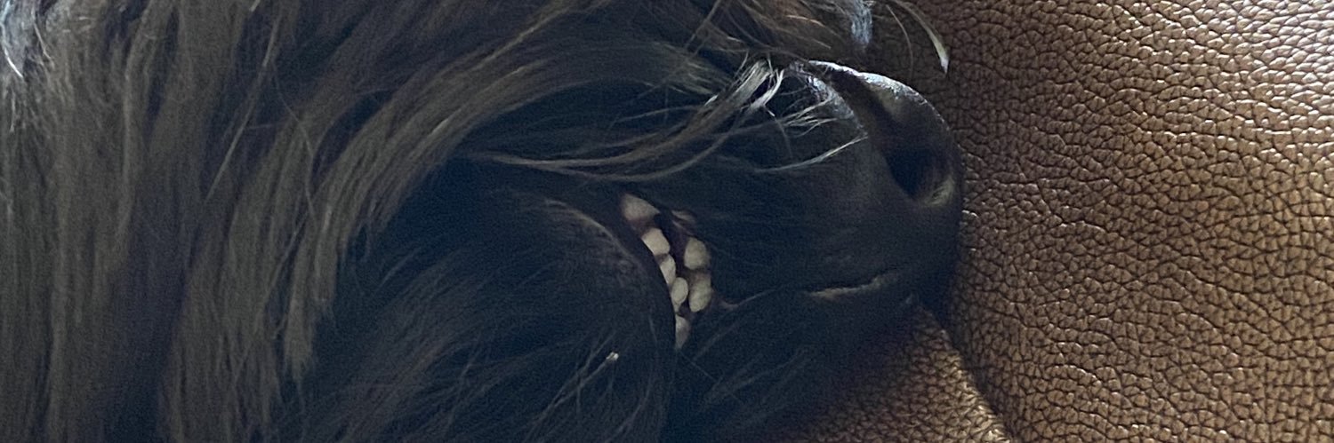 Linds_mand's profile banner image
