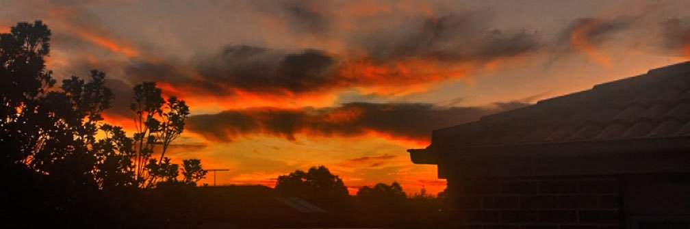 Bailey Lackas ☄💫 banner