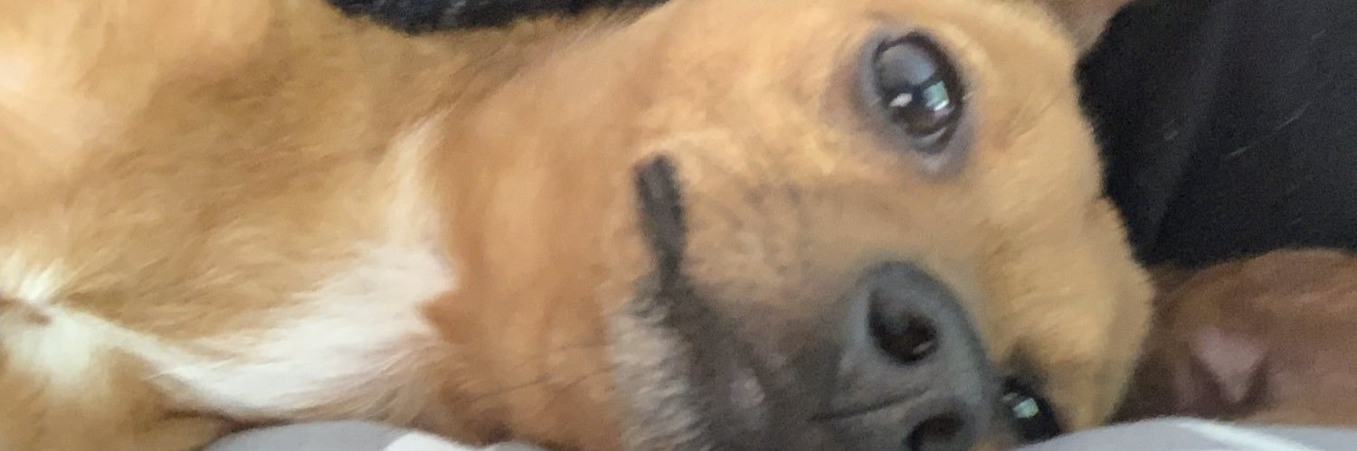 pacedubs's profile banner image