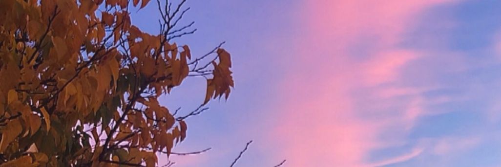 MercheAnmar's profile banner image