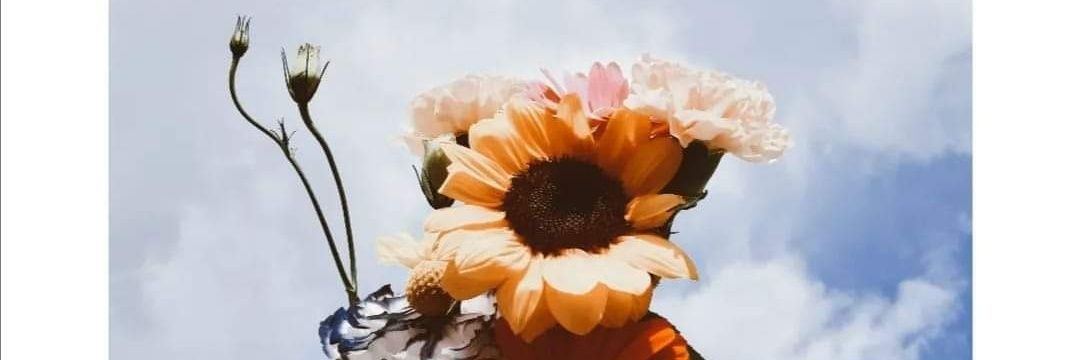 IvetteMariaano's profile banner image