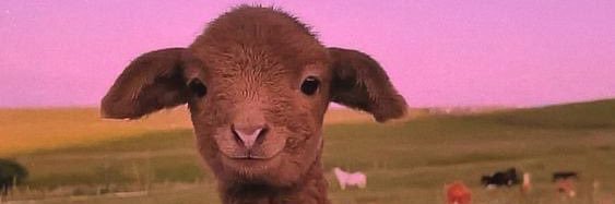 ada_leanwitit's profile banner image
