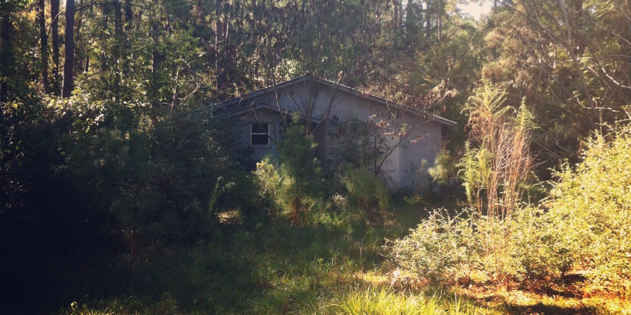 Dr. Meredith May banner