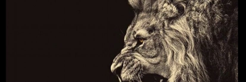 B14Terry's profile banner image