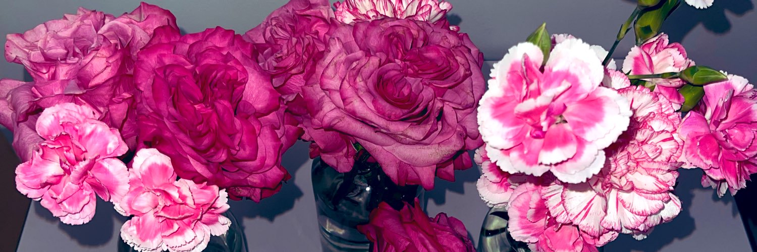 LizMartin_'s profile banner image