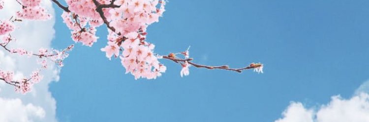 safe16472260's profile banner image