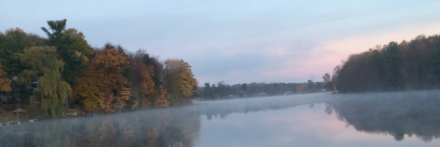 TheNightSkyes's profile banner image