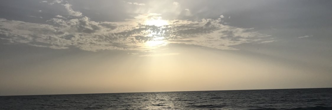 MahmoudKu's profile banner image