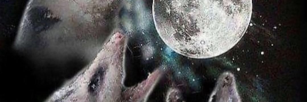 spooky season Lizzer 🐈‍⬛👻🎃 banner
