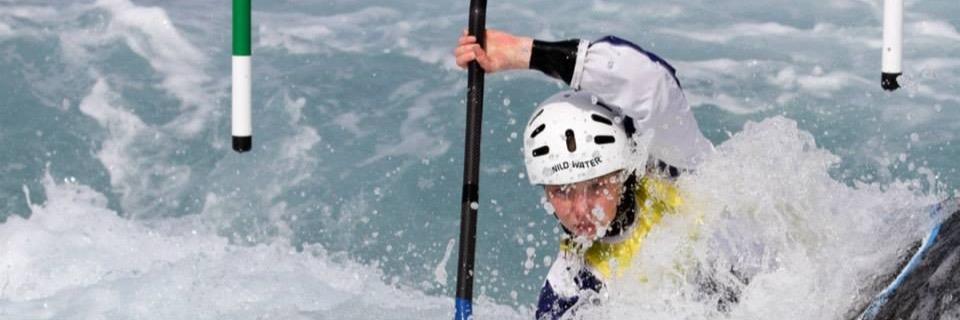 Alice Haining banner