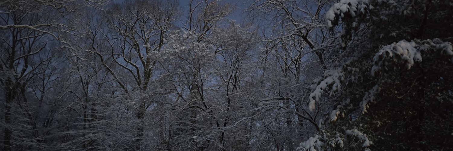 erimar14344's profile banner image