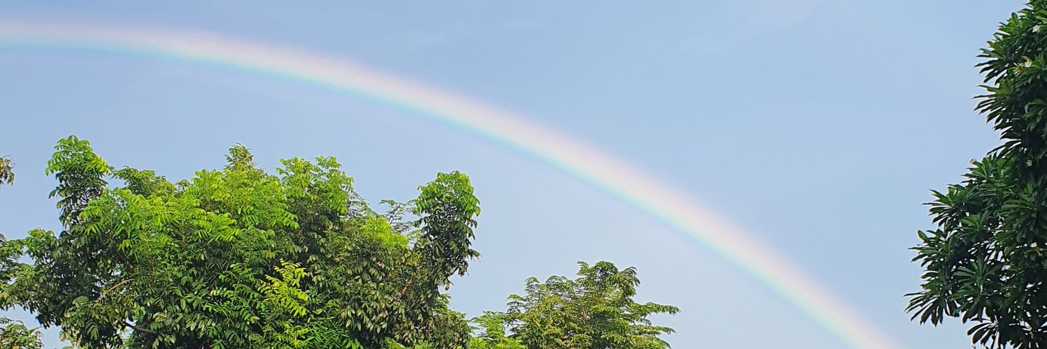 millanurs's profile banner image