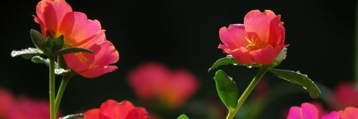 3434fm's profile banner image