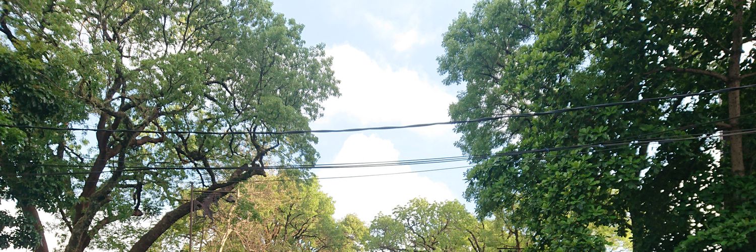 Ulum21's profile banner image