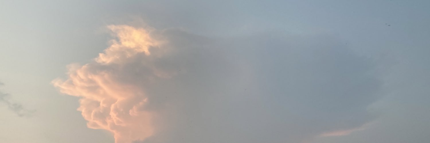 therealdevvor's profile banner image