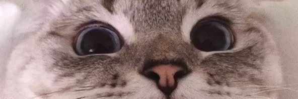 recomendedstuff's profile banner image