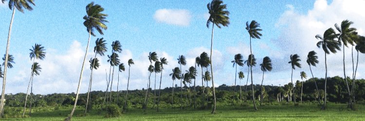 danaf10's profile banner image