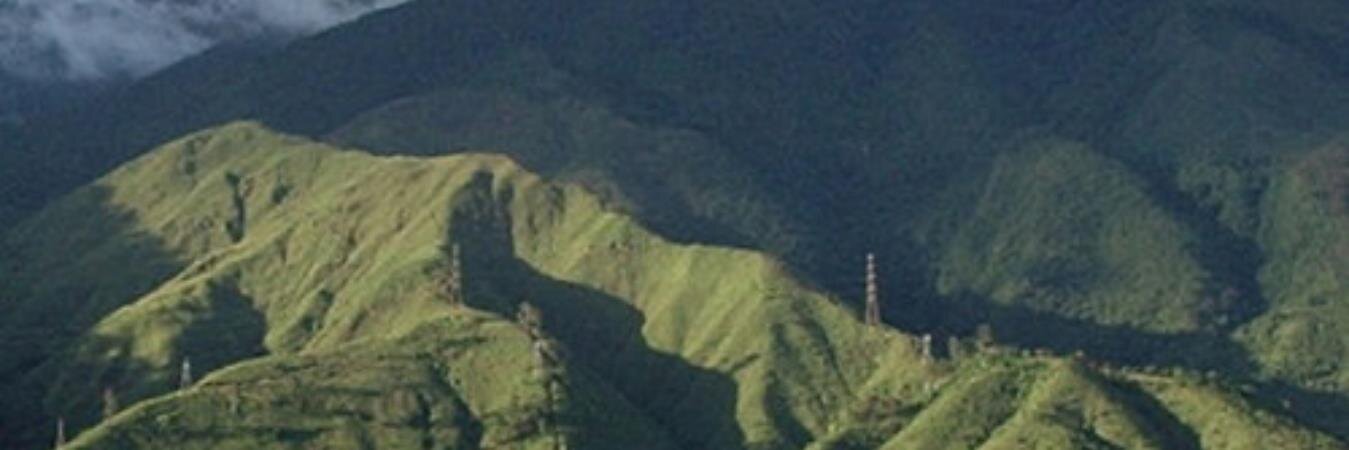 dinitoccs's profile banner image