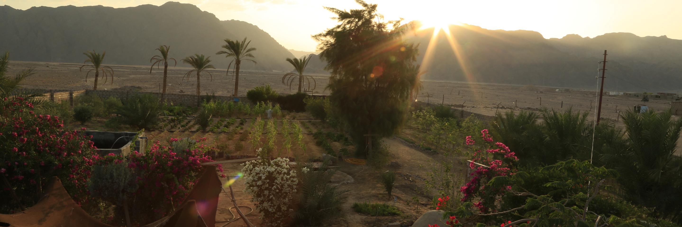 habibacommunity's profile banner image