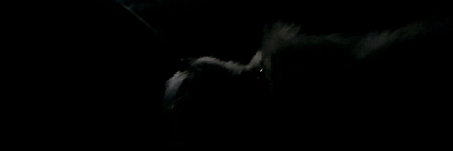 Javier Contreras banner