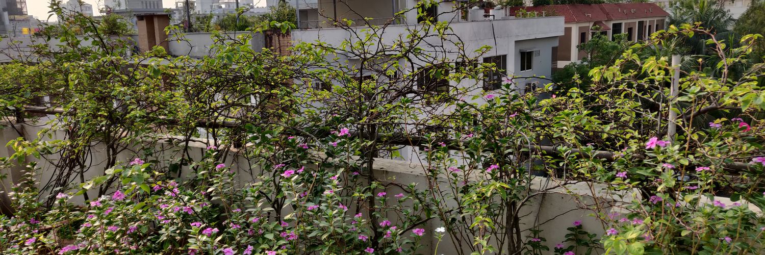 sanjuteri's profile banner image