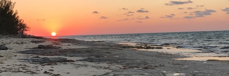 NickTirabassi's profile banner image