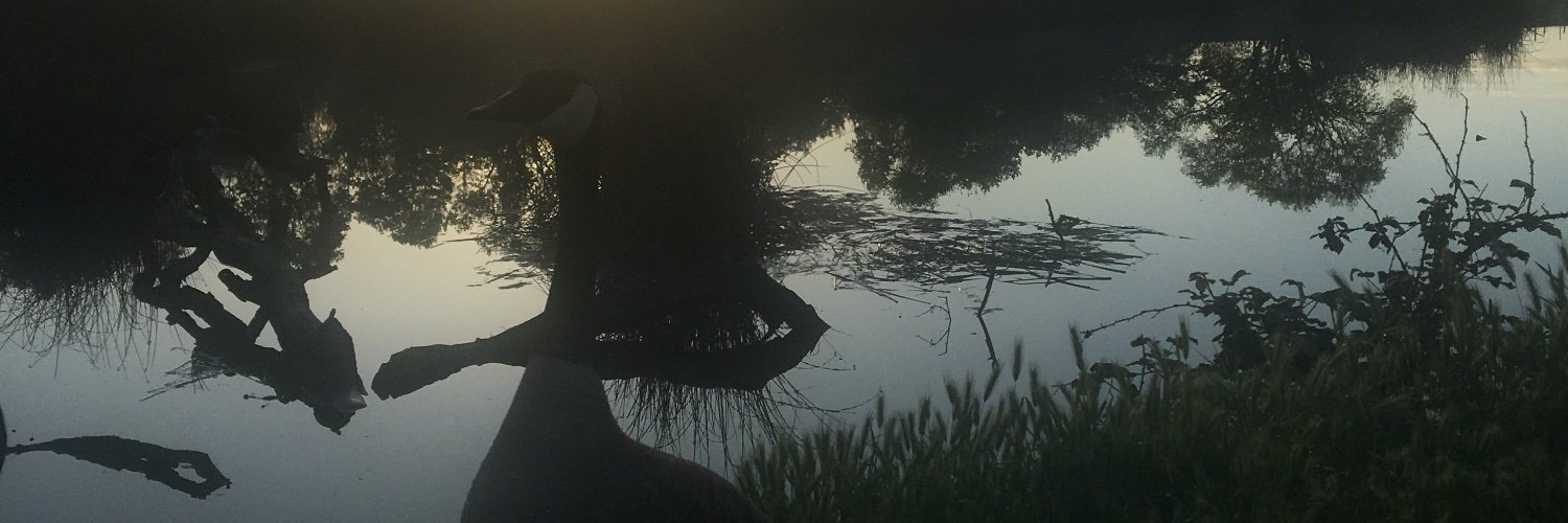 EdRiehle's profile banner image