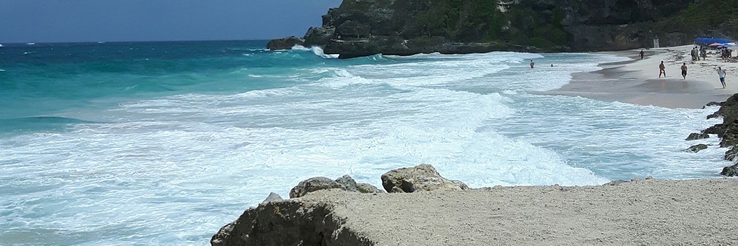 Emma Arthur 🍊 banner