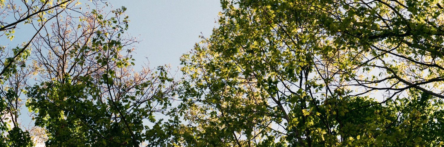 radxmad's profile banner image