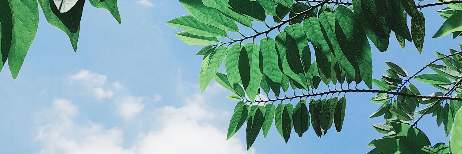 putridyahDL's profile banner image