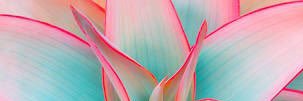 _free2fly_'s profile banner image