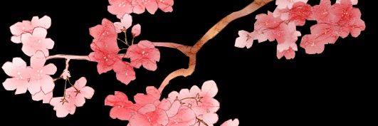 f5ctrlR's profile banner image